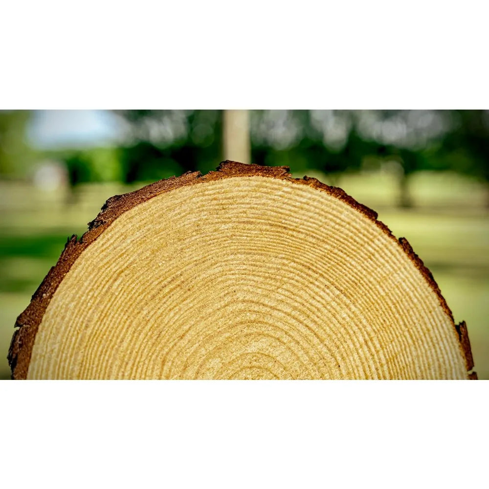 Set Of 12 Unfinished Wood Slices For Centerpieces