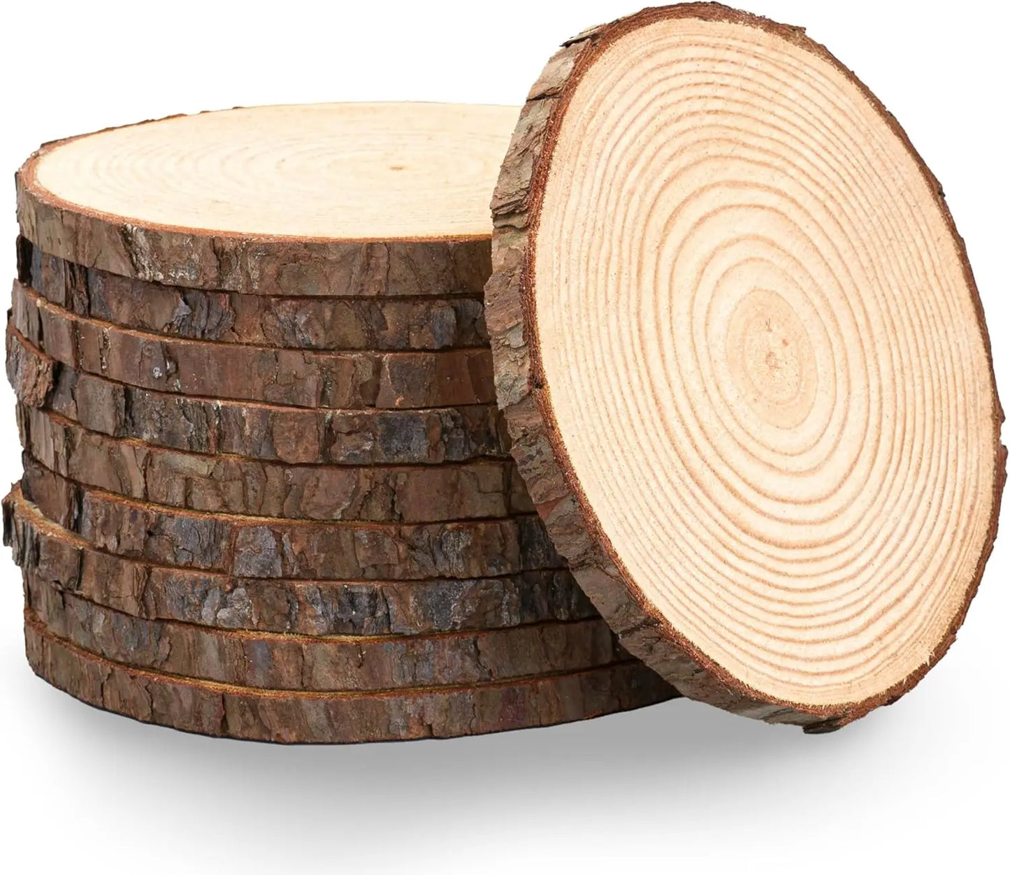 Set Of 12 Unfinished Wood Slices For Centerpieces